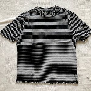 striped lettuce cut top